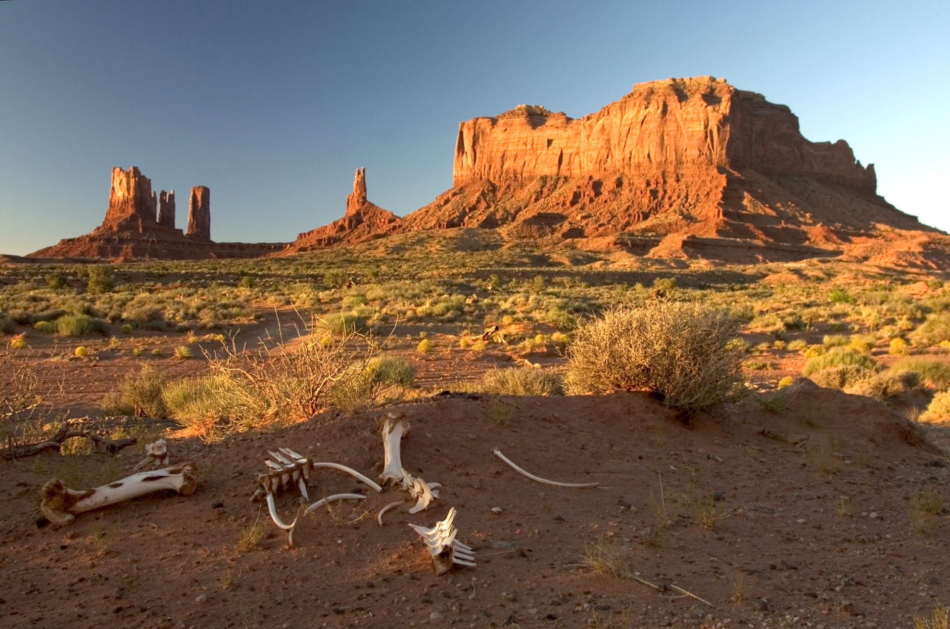 Désert en Arizona